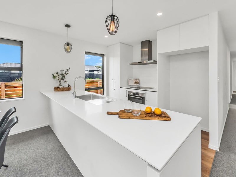 1 Sarah Nicholls Street, Belfast, Christchurch - Carousel 2