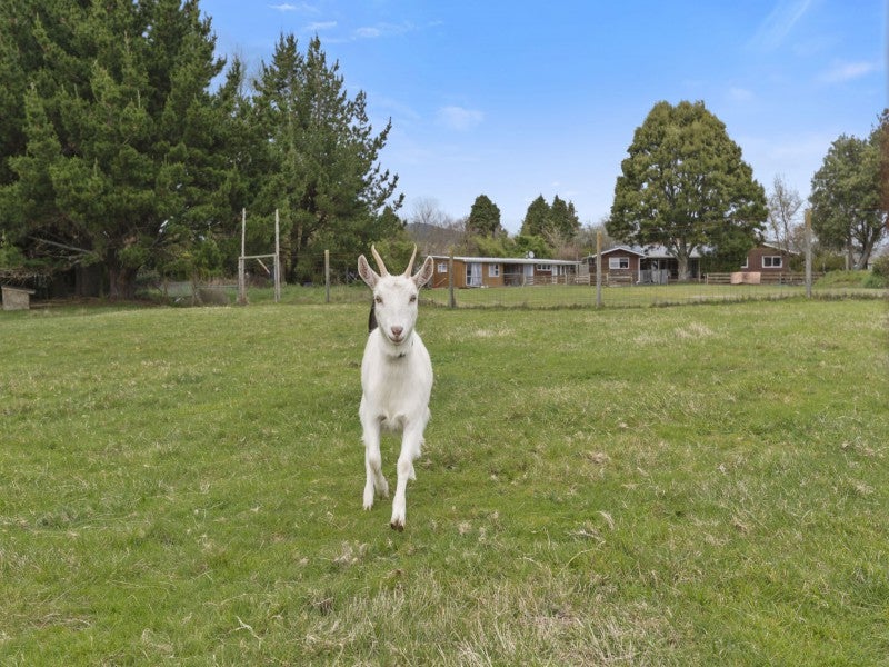 30 Lee Road, Hannahs Bay, Rotorua - Carousel 1