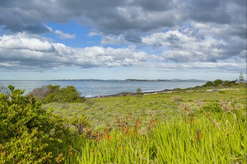 230 Whirinaki Road, Eskdale - Carousel 18