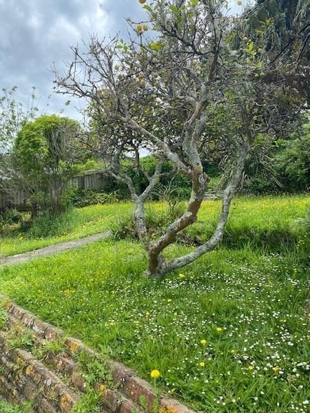 20 Gloucester Street, Cannons Creek, Porirua - Carousel 2