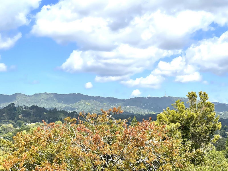 134 Glengarry Road, Glen Eden, Auckland - Carousel 16