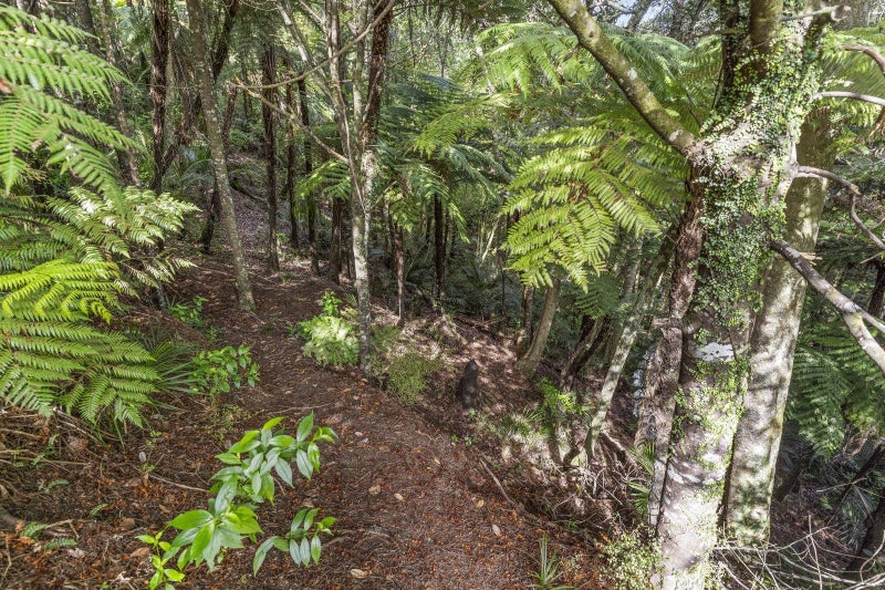 104 Tender Road, Albany - Carousel 15