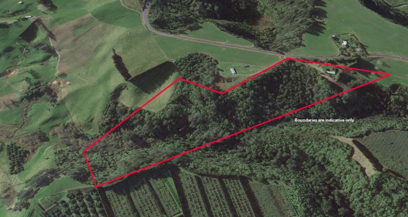 356 Omanawa Road, Tauranga - Carousel 28