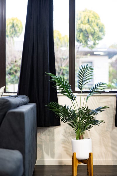 204B Ohaupo Road, Glenview, Hamilton - Carousel 25