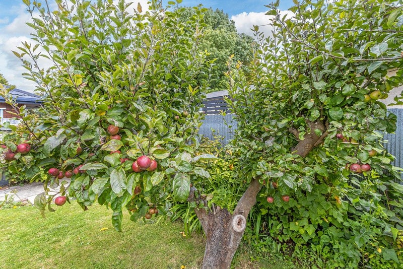 35 Daniels Road, Redwood, Christchurch - Carousel 17