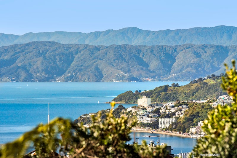 63 Central Terrace, Kelburn, Wellington - Carousel 2