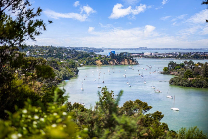 11 Buckleys Track, Paremoremo, Auckland - Carousel 18