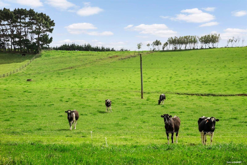 172 Manukau Heads Road, Āwhitu - Carousel 2