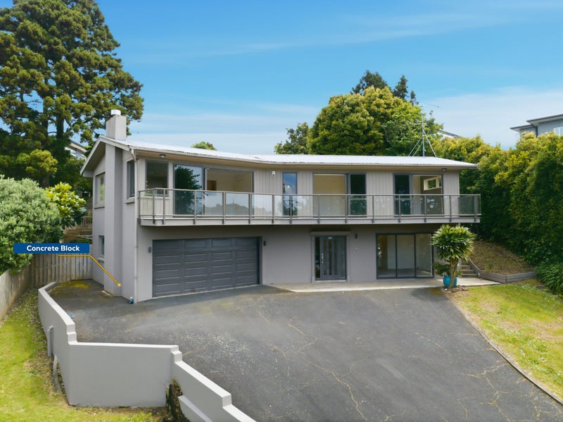 23C Hillsborough Road, Hillsborough, Auckland - Carousel 2