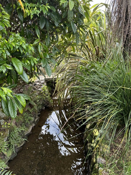 66 Seddon Street, Kumara, Greymouth - Carousel 27