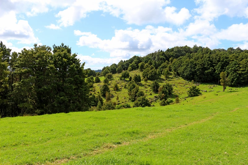 0 Tapuhi Road, Hukerenui, Hikurangi - Carousel 1