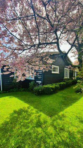 2 Hoyle Place, New Plymouth, New Plymouth - Carousel 1