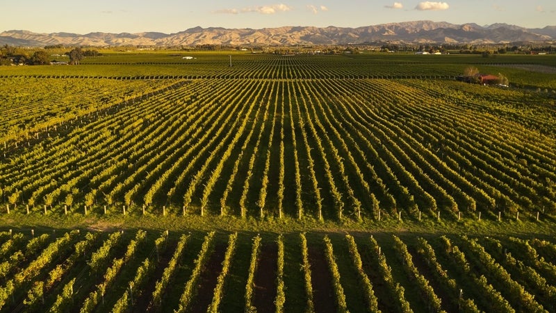 59 Jeffries Road, Rapaura, Blenheim - Carousel 1