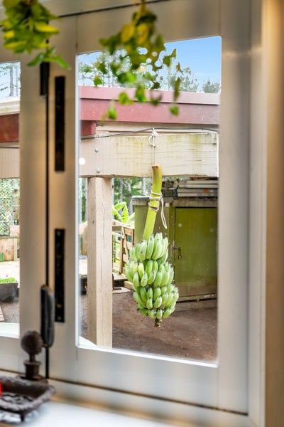 1042 Ngunguru Road, Kiripaka, Whangarei - Carousel 30