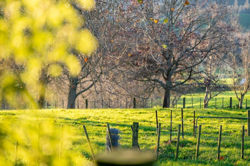 192 Karapiro Road, Karapiro, Cambridge - Carousel 37