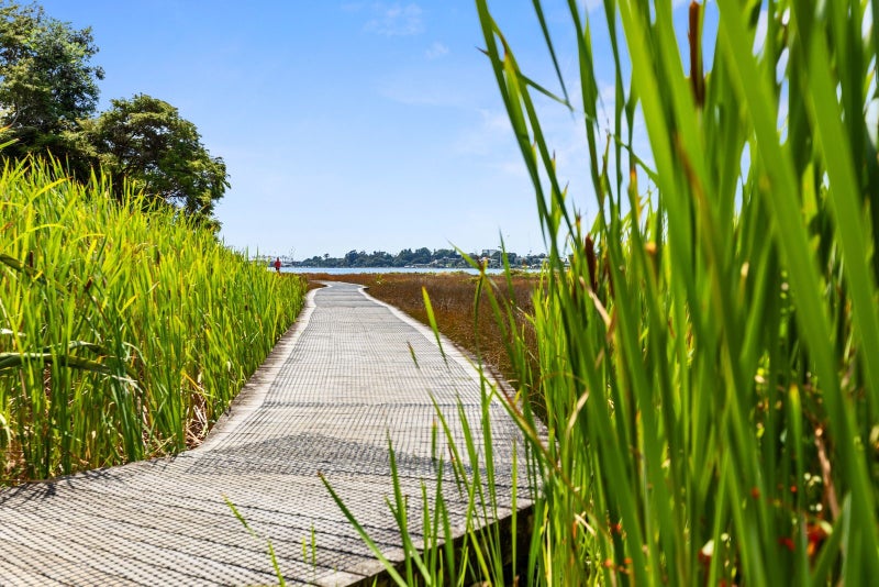 2/29 Montgomery Road, Judea, Tauranga - Carousel 20