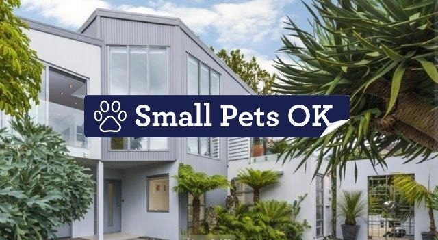 4A Westwood Terrace, Saint Marys Bay, Auckland - Carousel 1