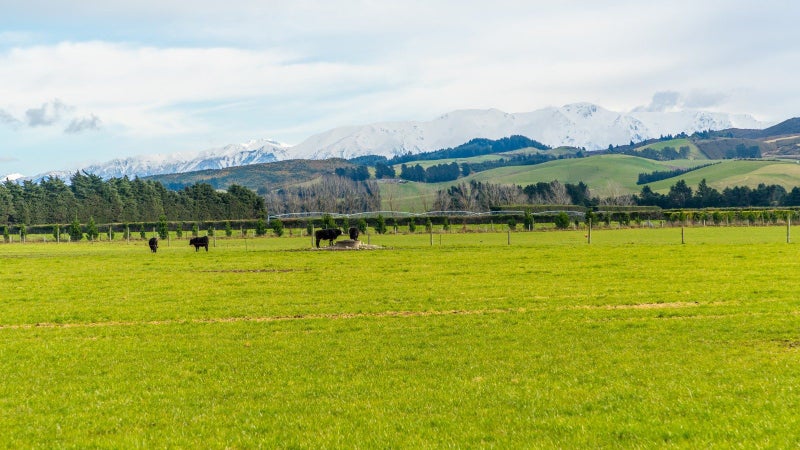0 Plantation Road, Maungatautari, Cambridge - Carousel 1