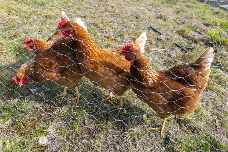 20 Stewart Glen, Taupo - Carousel 33