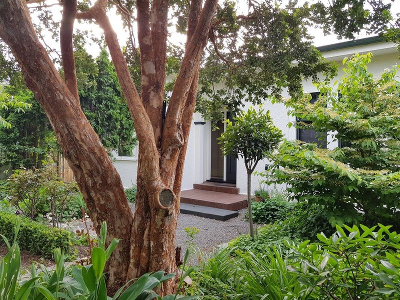 105 Mcleod Street, Camberley, Hastings - Carousel 2