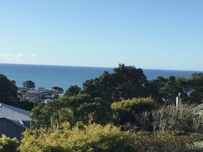 15A Glen Almond Street, New Plymouth, New Plymouth - Carousel 16