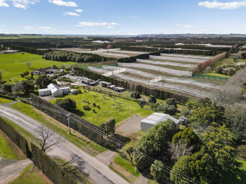 108 Te Tumu Road, Te Puke - Carousel 2