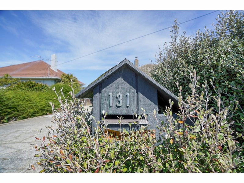 131 Islington Street, Turnbull Thomson Park, Invercargill - Carousel 23