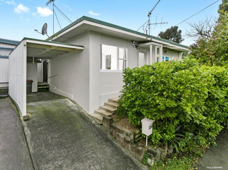 23B Euston Road, Sandringham, Auckland - Carousel 1