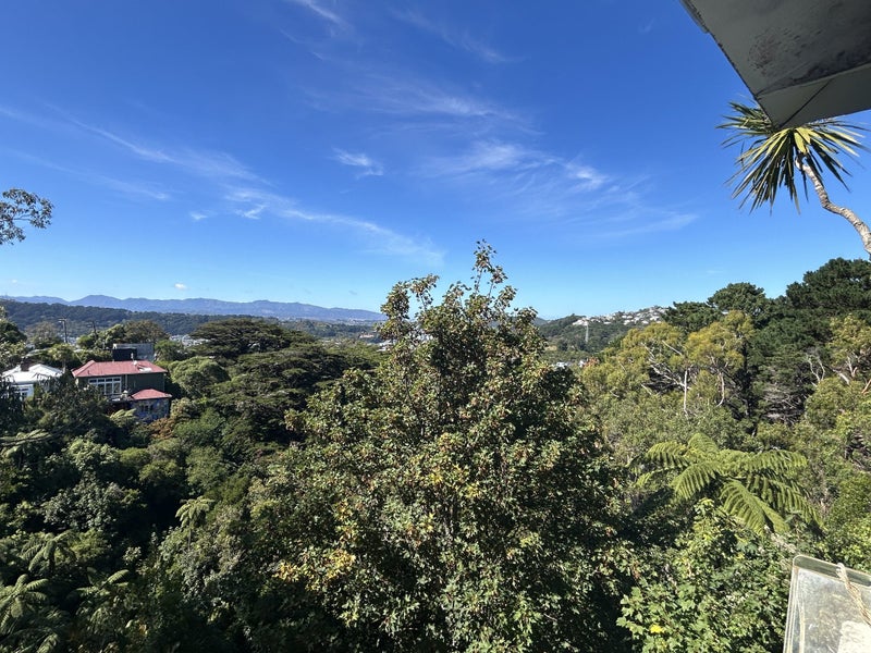 19 Hadfield Terrace, Kelburn, Wellington - Carousel 1