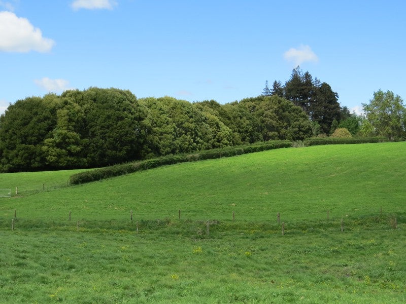 58 Ryburn Road, Ohaupo, Ōhaupō - Carousel 1