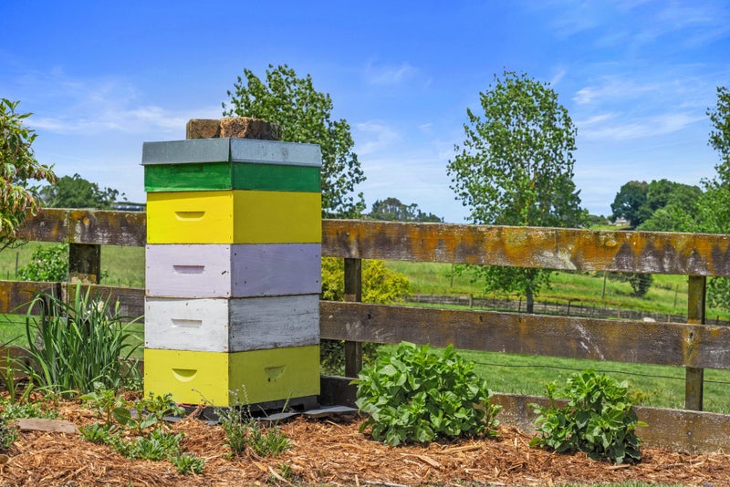 30 Howden Road, Whatawhata, Hamilton - Carousel 24