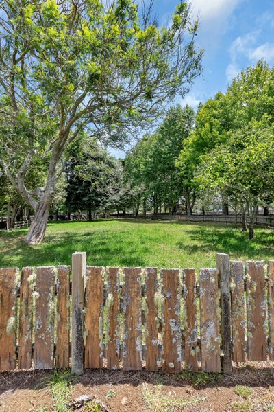 298 Cemetery Road, Whangarei - Carousel 50