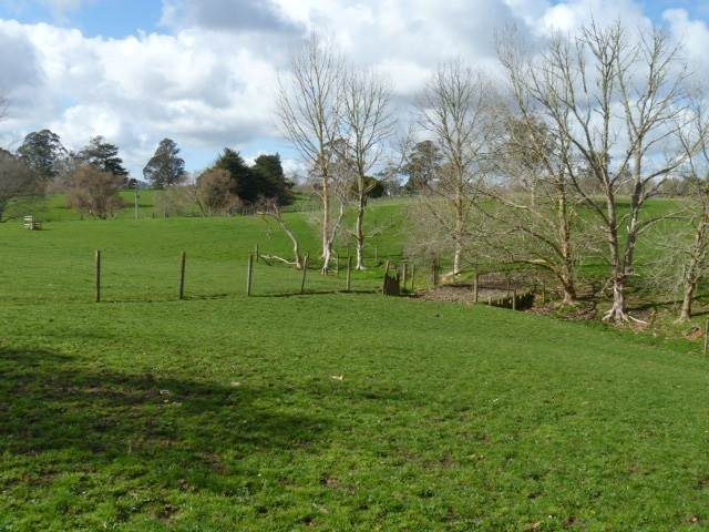 883 Runciman Road, Runciman, Drury - Carousel 6