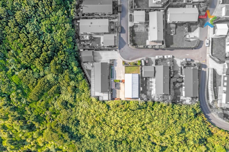 20 Otonga Heights, Maungaraki, Lower Hutt - Carousel 20