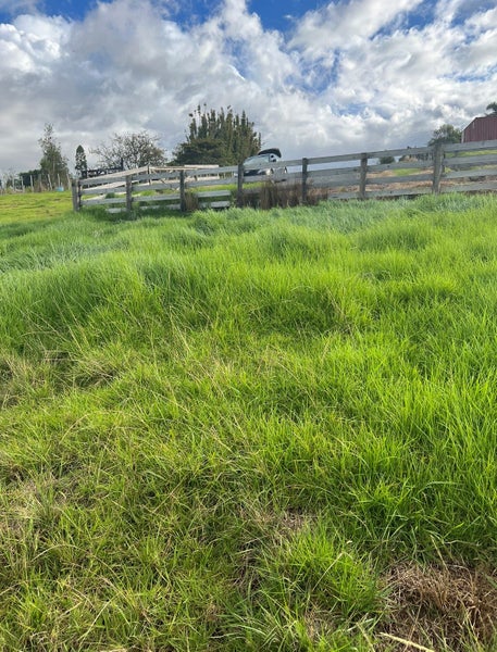 637A Ormandy Road, Whangarei - Carousel 10