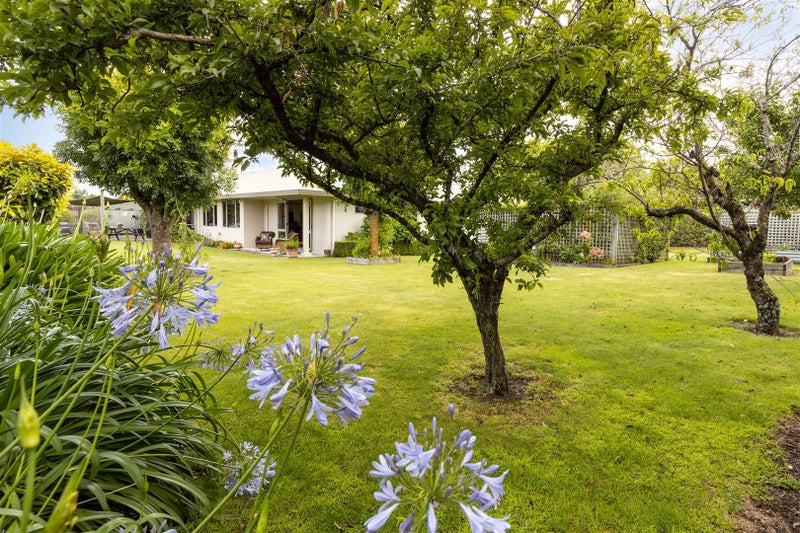 42C Brydon Street, Renwick - Carousel 2