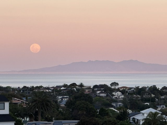 1/188 Browns Bay Road, Murrays Bay, Auckland - Carousel 2
