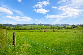 0 Kahikatea Flat Road, Waitoki, Waitoki - Carousel 2