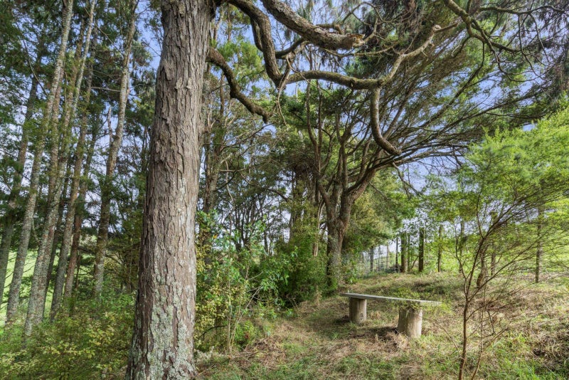 62 Pampas Lane, Te Arai, Rodney, Auckland - Carousel 27