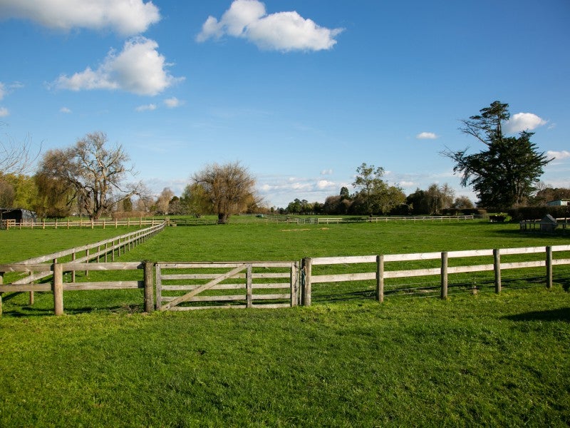 369 Hautapu Road, Tamahere - Carousel 26