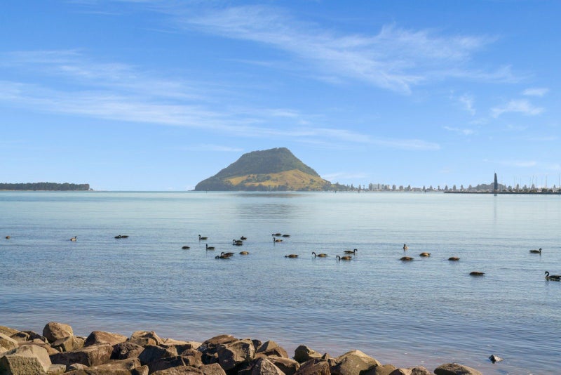 4 Kulim Avenue, Otumoetai, Tauranga - Carousel 19