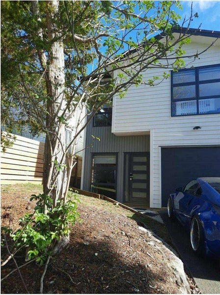 2A Leinster Street, New Windsor, Auckland - Carousel 1
