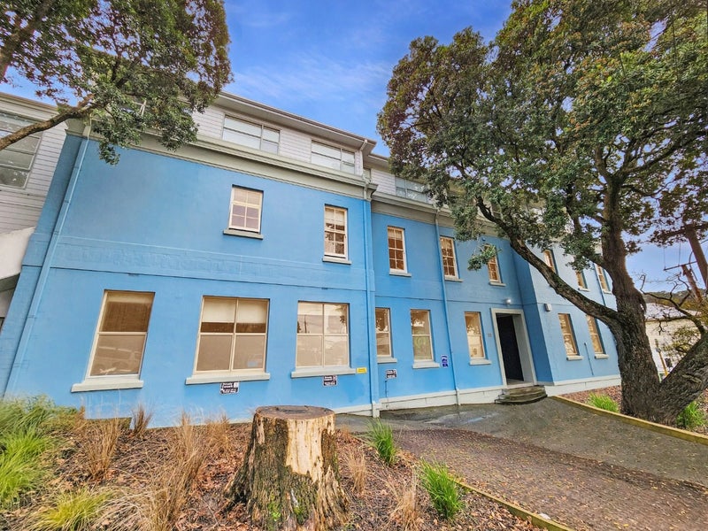 2/30 Hanson Street, Mount Cook, Wellington - Carousel 1