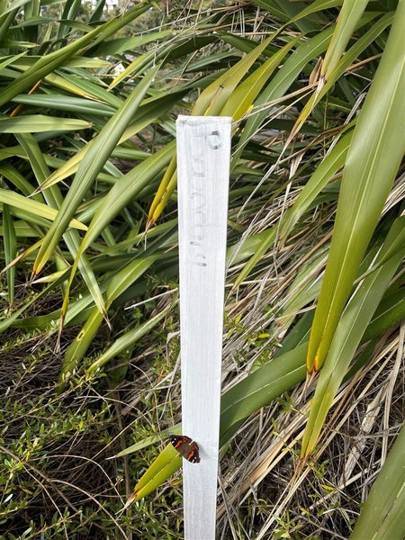 11 Egnot Heights, Redcliffs, Christchurch - Carousel 17