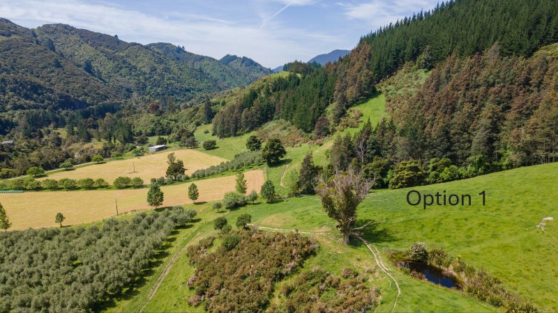 145 Andrews Road, Wairoa Valley - Carousel 1