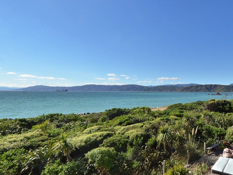 17 Boardwalk Lane, Seatoun, Wellington - Carousel 1