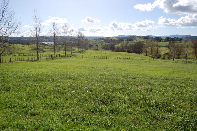 54 Rangiora Road, Kaiwaka - Carousel 2