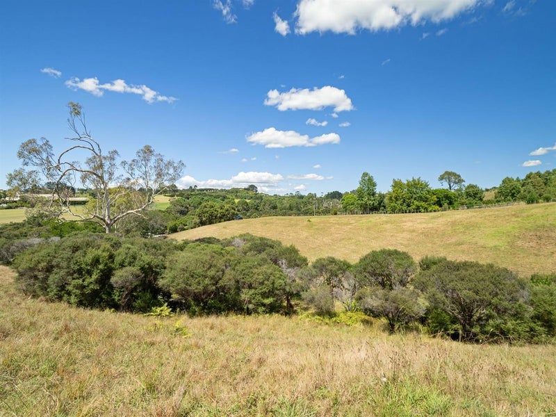 172A Mahoenui Valley Road, Coatesville - Carousel 12