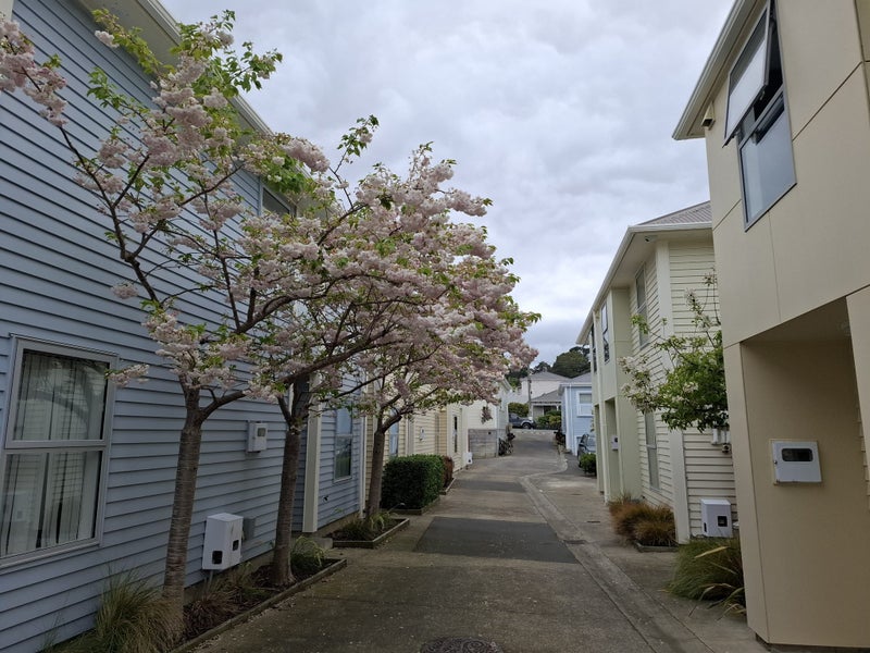 1/44 Owen Street, Newtown, Wellington - Carousel 2
