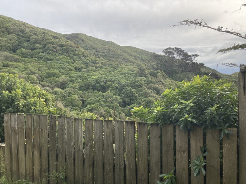 63B Nalanda Crescent, Broadmeadows, Wellington - Carousel 14